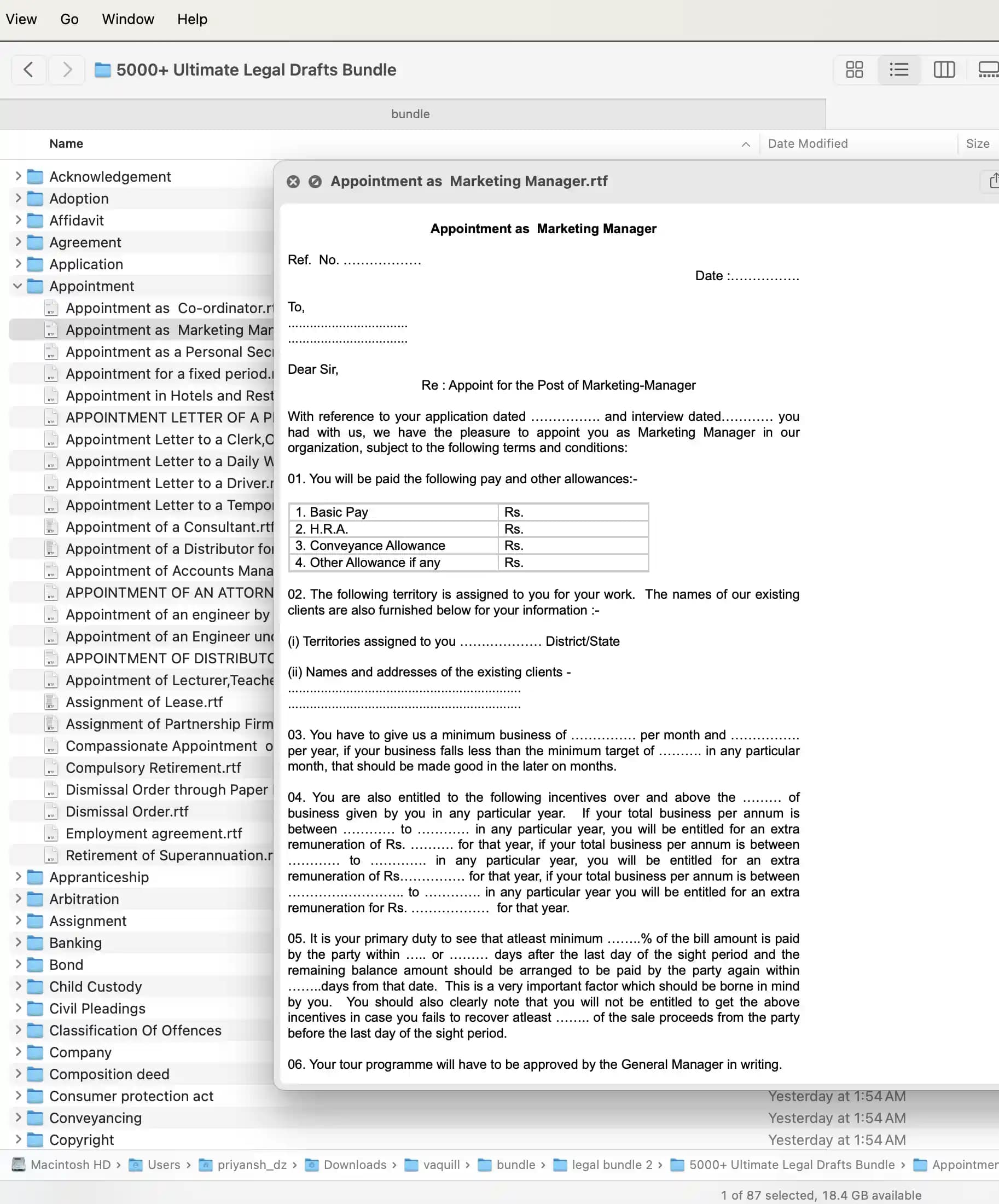 Legal Document Template 3